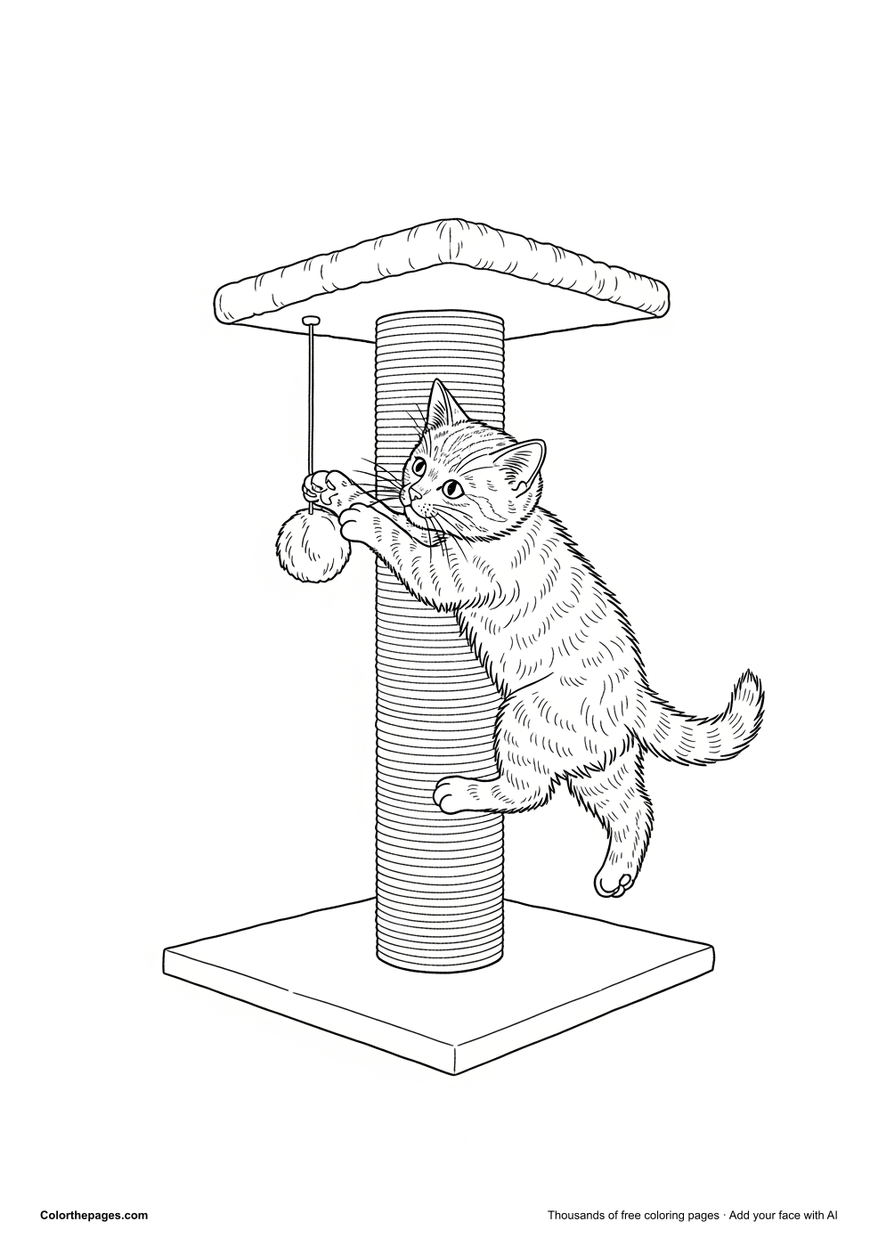 Cats & Kittens 10